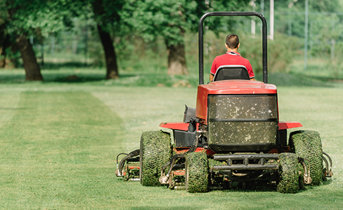 Lawn & Garden